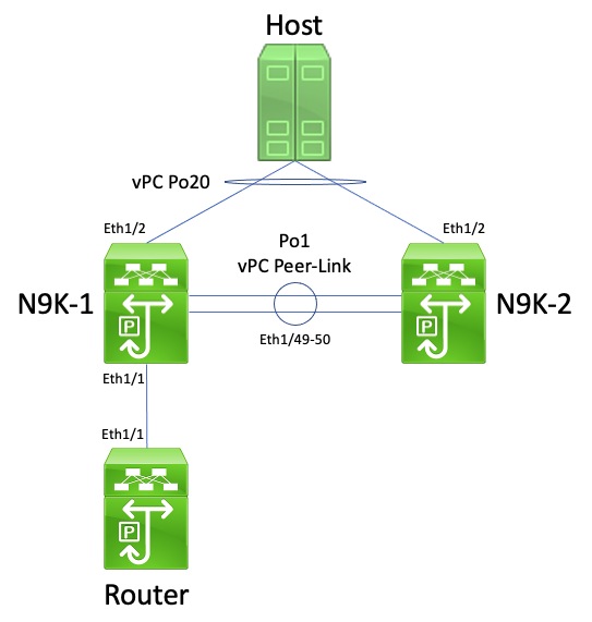 Routing over vPC - Unicast Routing Protocol Adjacencies over a vPC VLAN without vPC Peer Gateway Topology