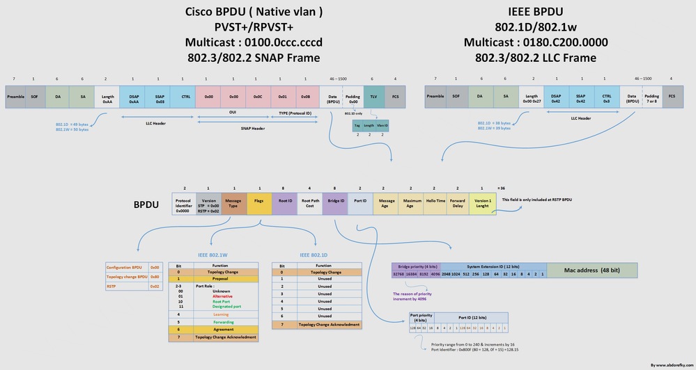 Cisco and IEEE BDPU Formats