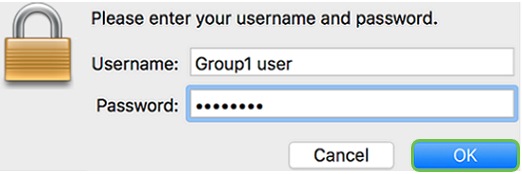 Enter your server username and password in the respective fields and then click OK.