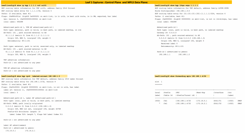 Layer3 EVPN over Segment Routing MPLS in Nexus 9300 - Leaf 1 Verification