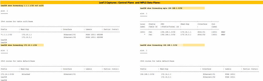 Layer3 EVPN over Segment Routing MPLS in Nexus 9300 - Leaf 2 Verification