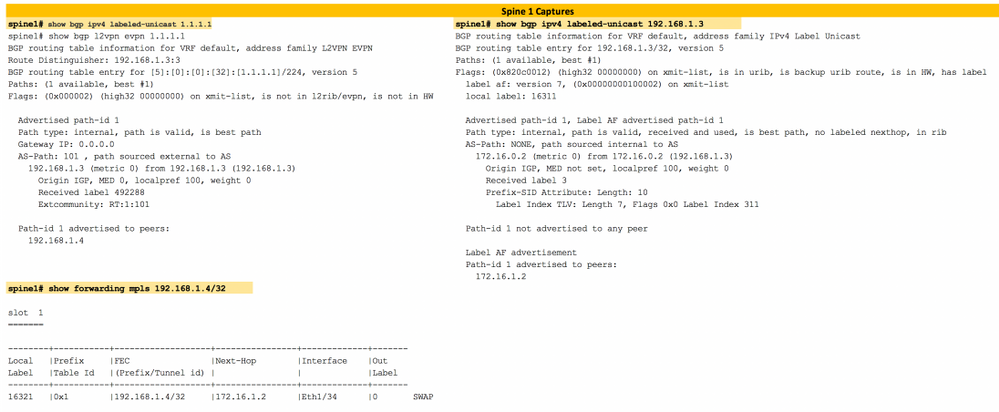 Layer3 EVPN over Segment Routing MPLS in Nexus 9300 - Spine 1 Verification
