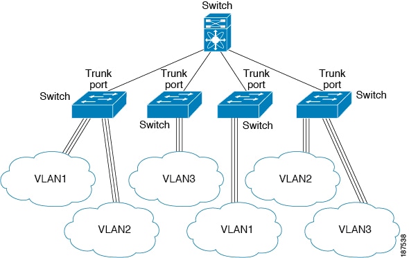 Trunk access. VLAN Trunk. Порты VLAN. Trunk access VLAN. Транк порт.