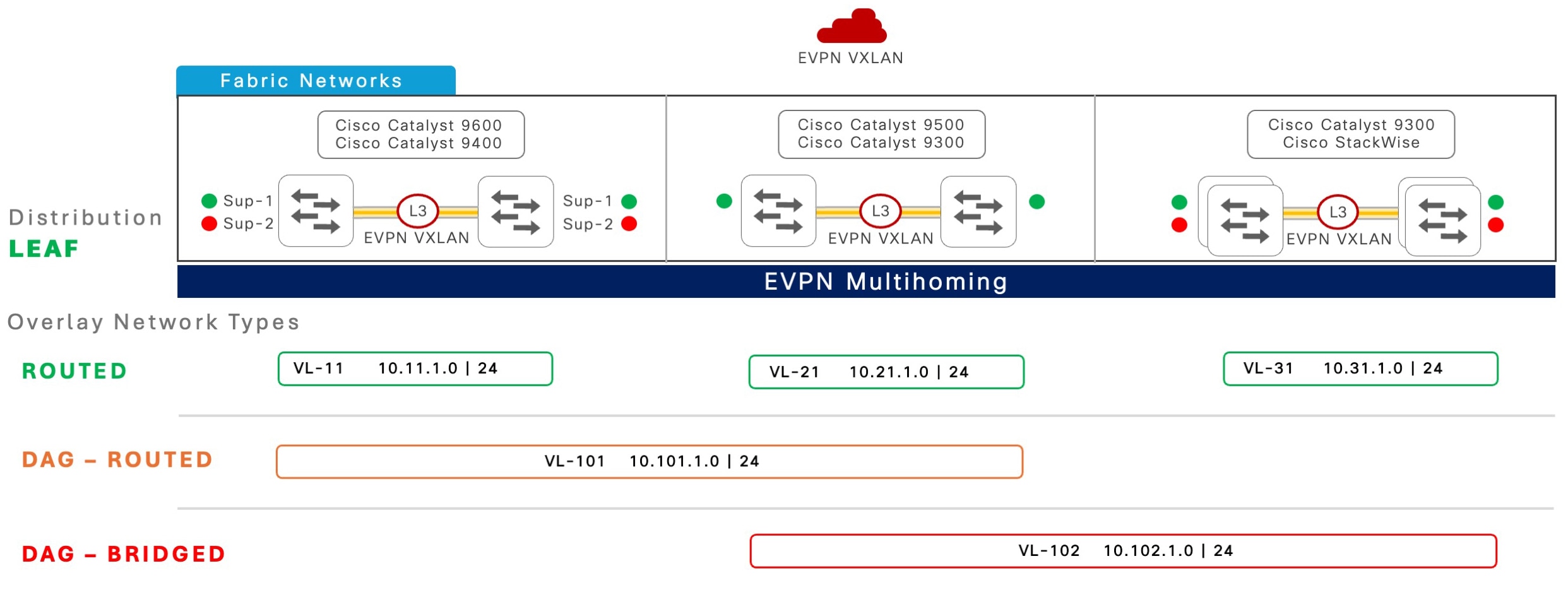 BGP EVPN fabric overlay network types