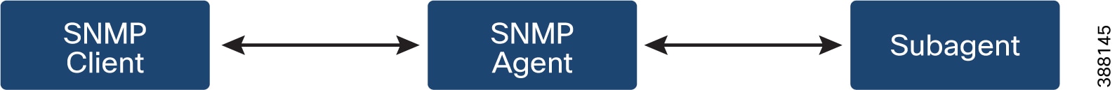 The SNMP process illustrates the communication flow between the SNMP client, agent, and subagent, detailing how requests and responses are exchanged in network management.