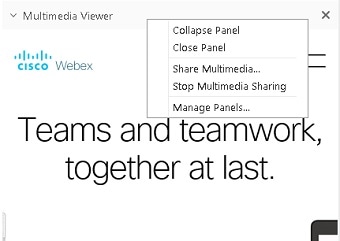 Immagine del pannello e del menu Visualizzatore multimediale.