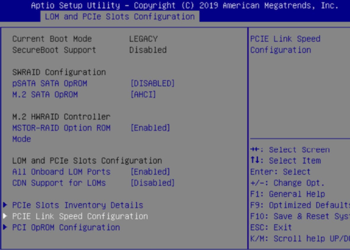 Aptio Setup Utility - LOM and PCIe Slots Configuration Tab