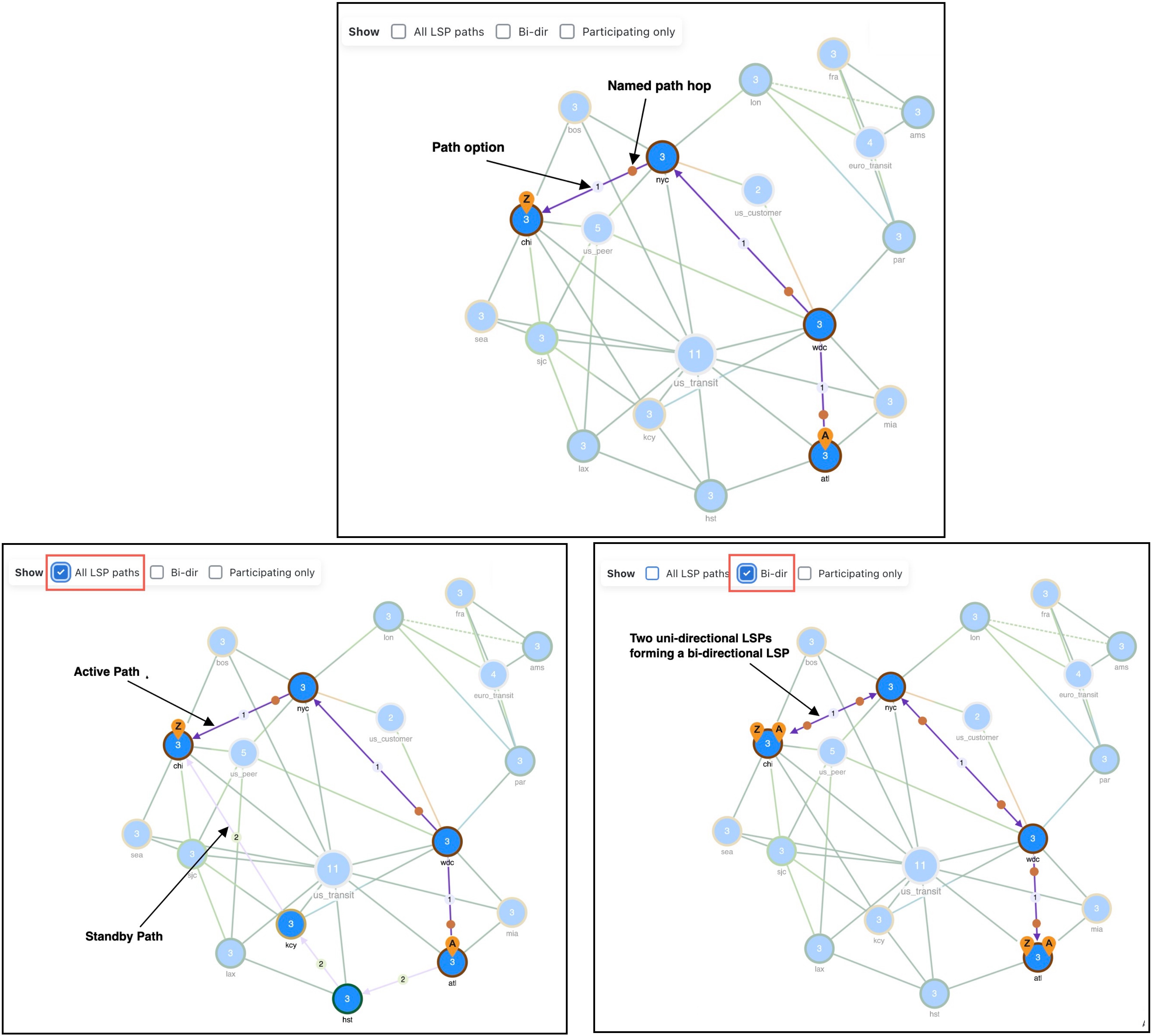 CS-RSVP LSP path visualization