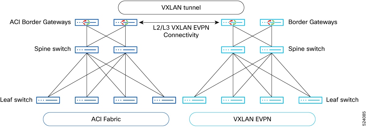 Diagram showing the placement of ACI border gateways and the VXLAN connectivity between Cisco ACI and VXLAN EVPN domains.