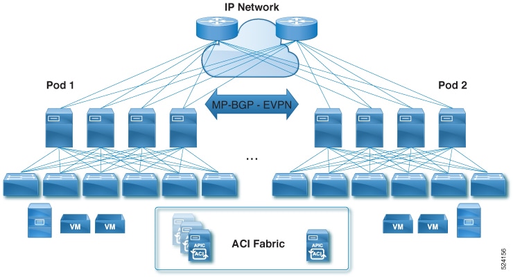 Diagram showing an ACI border gateway in a pod and its role as the designated forwarder for bridge domain traffic.