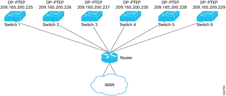 Six remote leaf switches in a remote leaf resiliency group