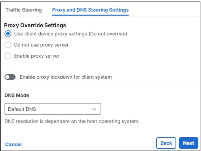 Configuration of Proxy and DNS Steering Settings