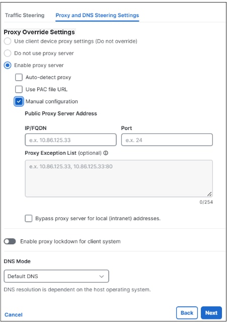 Configuration of Proxy and DNS Steering Settings with Enable proxy server option