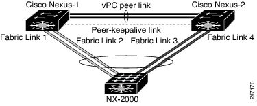 Fabric Extender connected to two NX-5000 switches with vPC
			 