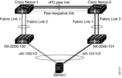 Host interfaces connected to Fabric Extenders into a vPC
			 