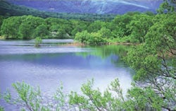 健康网络 构建养生之道