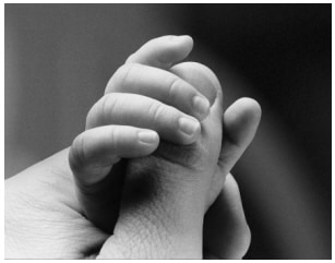 美林观点针锋相对