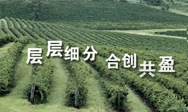 层层细分合创共盈