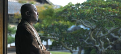 Buddhist monk in a zen garden