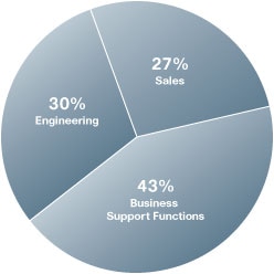 Pie chart illustrating workforce by job function. 30 percent Engineering, 27 percent Sales and 43 percent Business Support Functions.